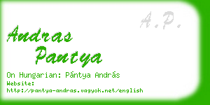 andras pantya business card