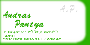 andras pantya business card
